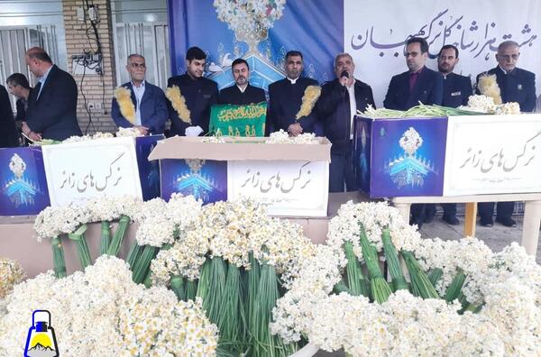 عکس گل نرگس در حرم امام رضا