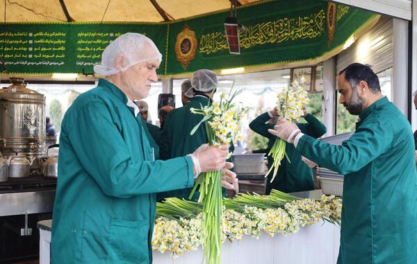 عکس گل نرگس در حرم امام رضا