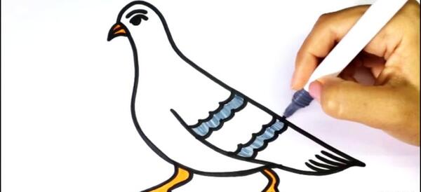 عکس نقاشی ساده کبوتر نامه رسان