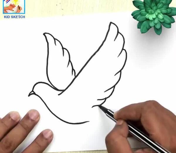 عکس نقاشی کبوتر ساده و زیبا