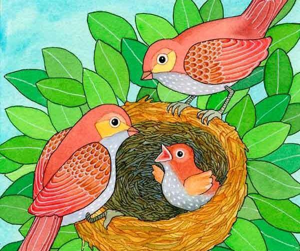 عکس نقاشی کبوتر ساده و زیبا