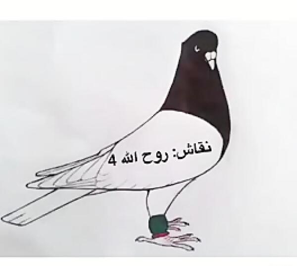 عکس نقاشی کبوتر ساده و زیبا
