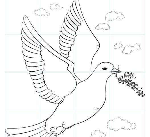 عکس نقاشی کبوتر ساده و زیبا