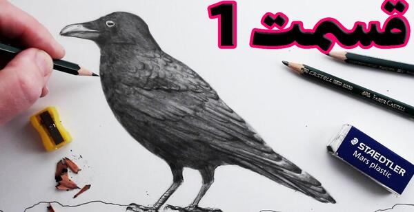 عکس نقاشی ساده کلاغ روی درخت
