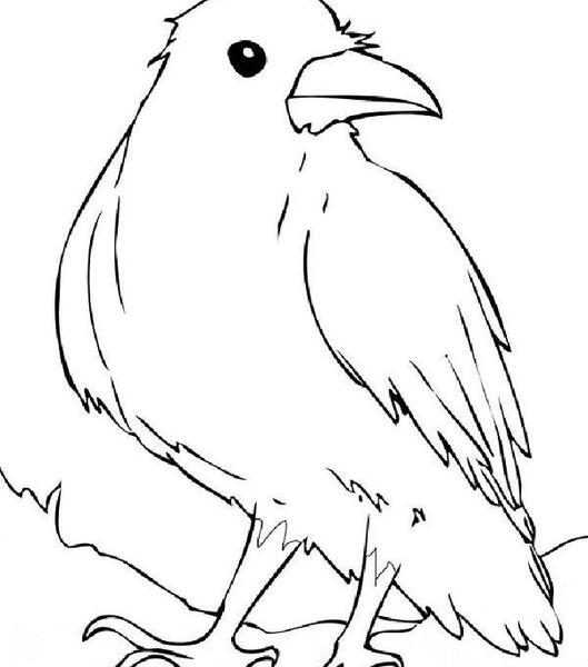 عکس نقاشی ساده کلاغ کودکانه