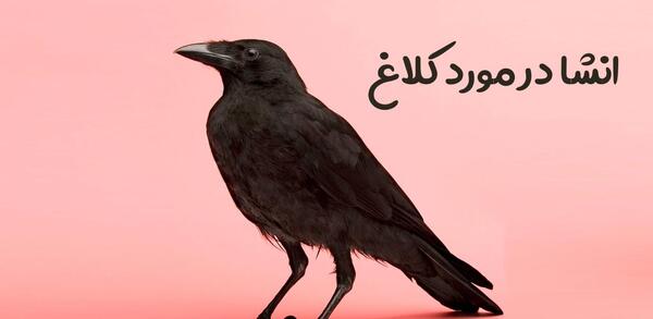 عکس نقاشی کلاغ ساده و زیبا