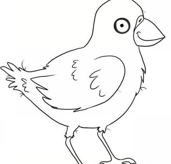 عکس نقاشی ساده ی کلاغ