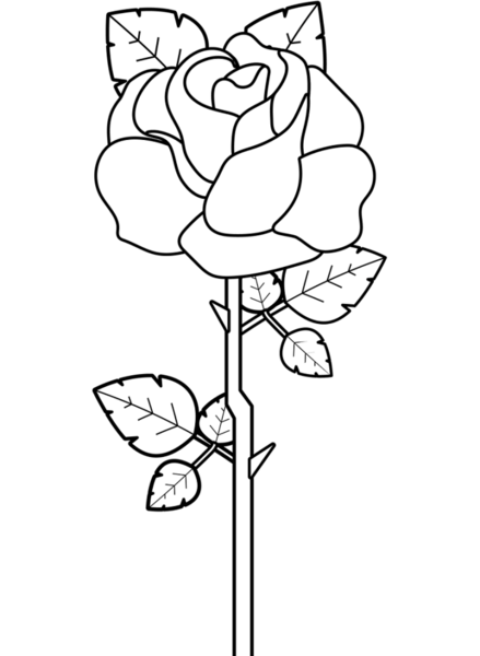 عکس نقاشی ساده گل رز کودکانه