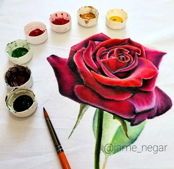 عکس نقاشی ساده گل رز قرمز