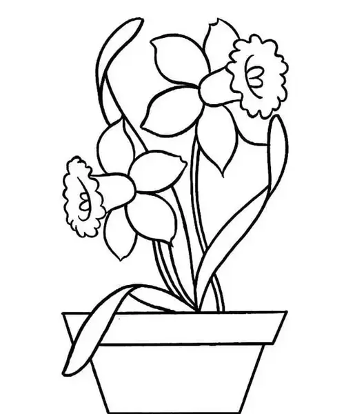 عکس نقاشی ساده گلدان و گل