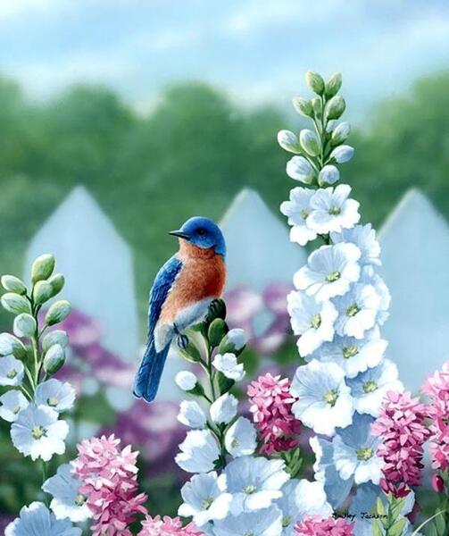 عکس طبیعت واقعی برای نقاشی