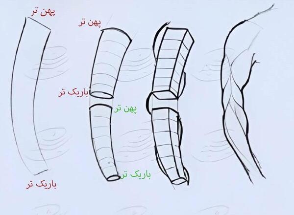 عکس نقاشی ساده ماهیچه