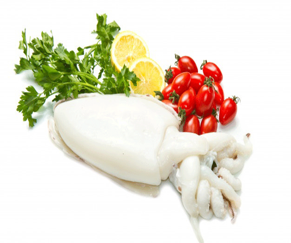 عکس نقاشی ساده ماهی مرکب