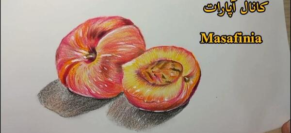 عکس نقاشی ساده میوه هلو