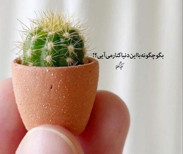 عکس باحال جذاب