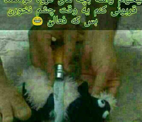 عکس باحال گروهی