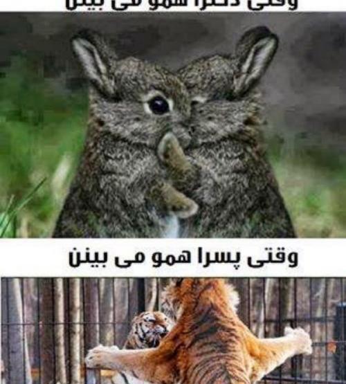 عکس یه چیز باحال