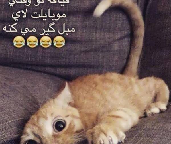 عکس چیز خیلی باحال