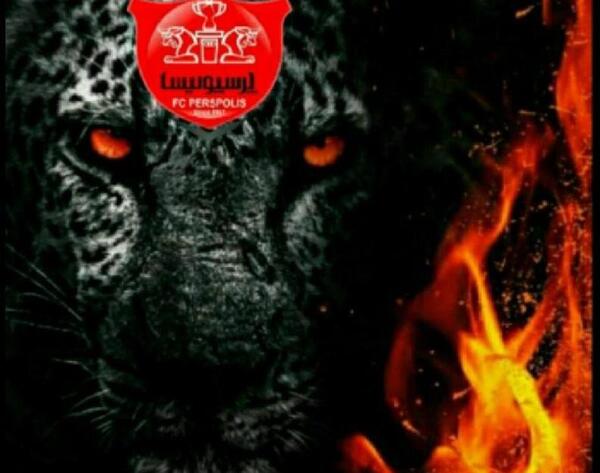 عکس های گنگ پرسپولیس