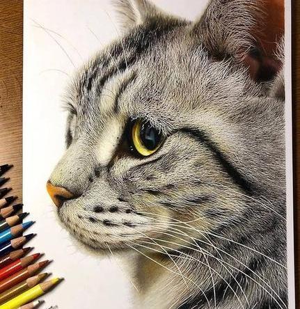 عکس نقاشی فانتزی حرفه ای با مداد رنگی