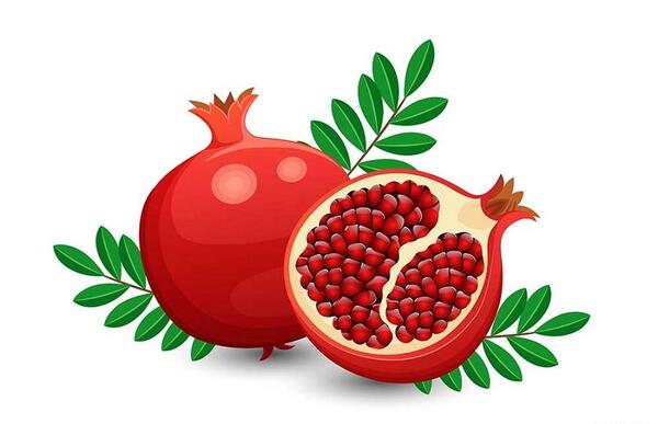 عکس نقاشی فانتزی شب یلدا انار