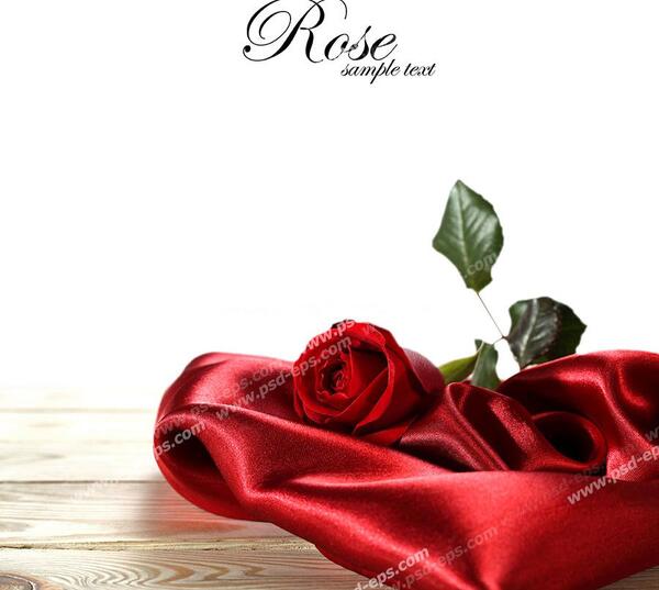 عکس شاخه گل برای سالگرد ازدواج