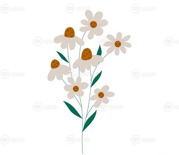 عکس نقاشی فانتزی گل بابونه