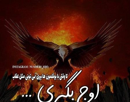عکس پروفایل قلمرو عقاب ها