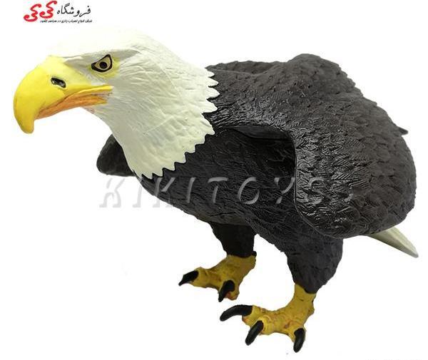 عکس برای گروه قلمرو عقاب ها