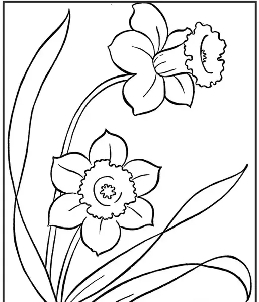 عکس نقاشی کودکانه گل نرگس