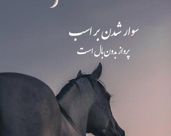 عکس فیلم اسب سواری