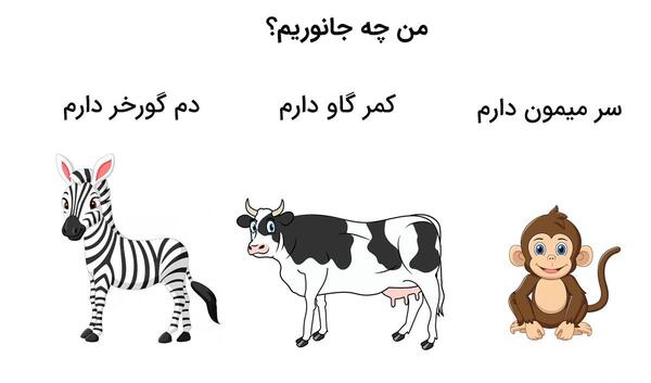 عکس گاو میمون