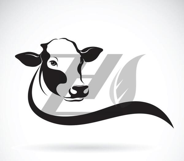 عکس گاو برای صفحه گوشی