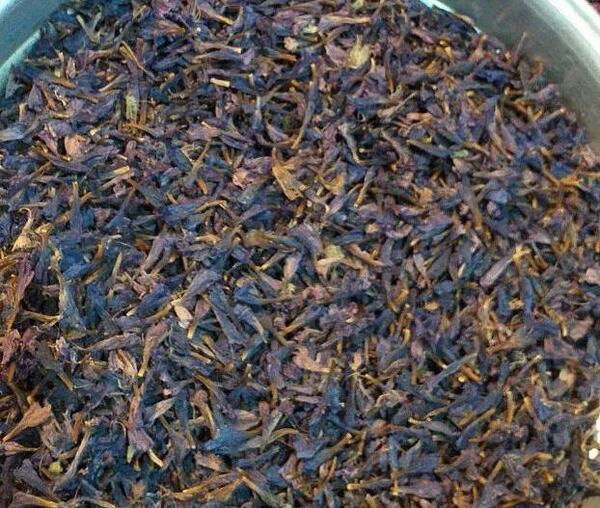 عکس گل گاو زبان وحشی