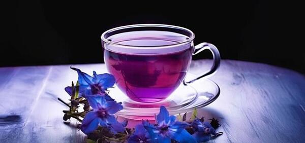 عکس گیاه گل گاو زبان