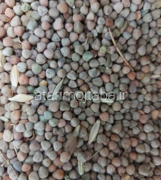 عکس گیاه گاودانه
