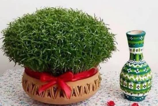 عکس گیاه گاودانه