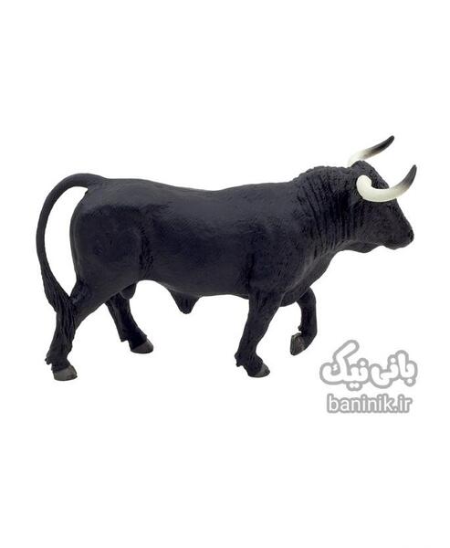 عکس گاو دخترانه