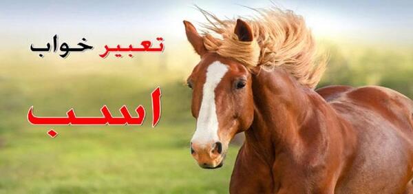 عکس های اسب قرمز