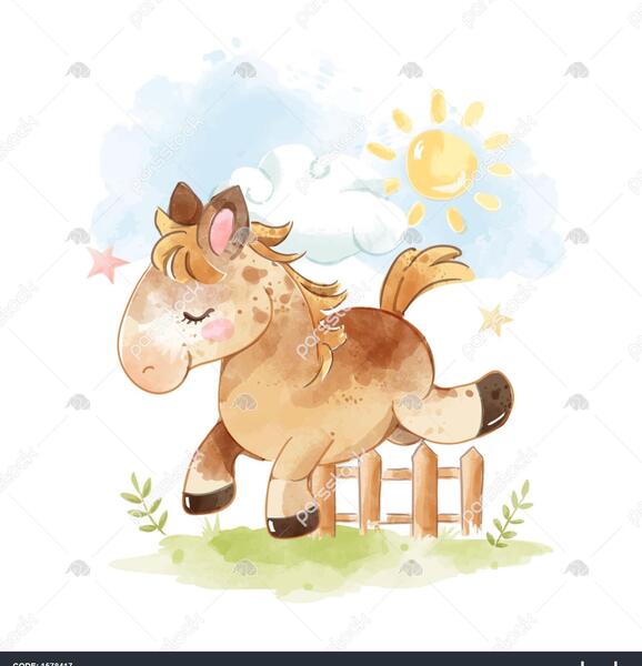 عکس کره اسب ناز
