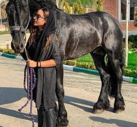 ژست عکس اسب