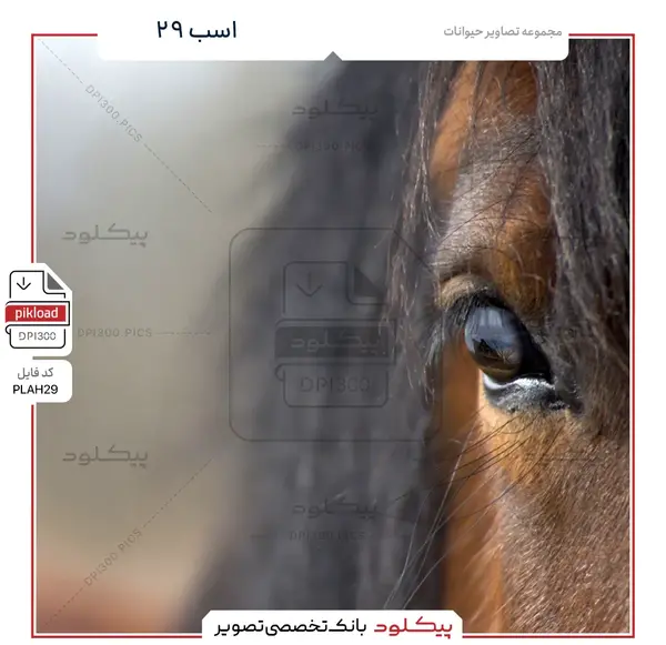 عکس اسب سبز واقعی