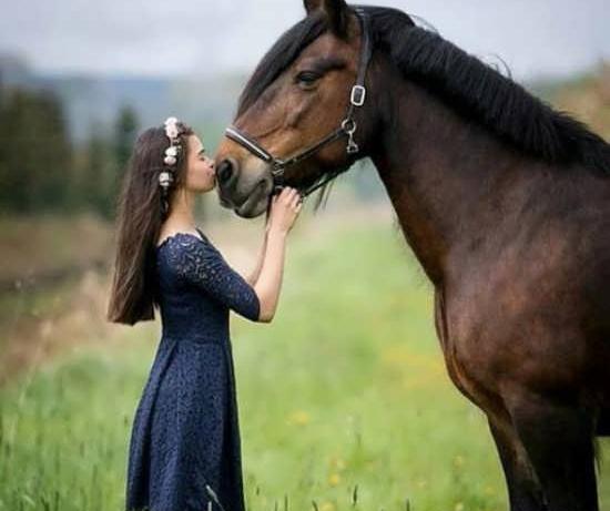 ژست عکس روی اسب