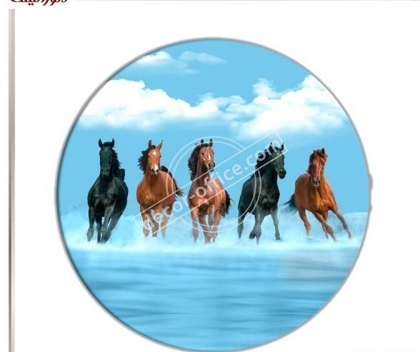 فنگ شويي عکس اسب دونده در آب