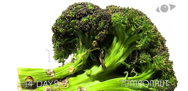 عکس بروسلی با کلم بروکلی