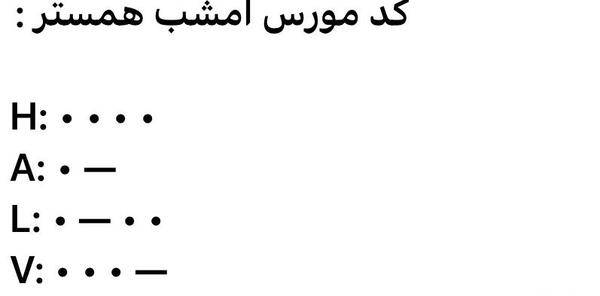 عکس همستر یک میلیاردی