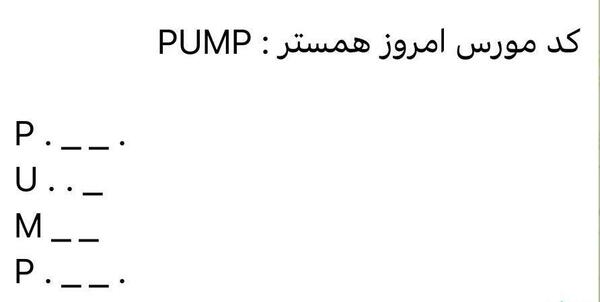 عکس همستر یک میلیون