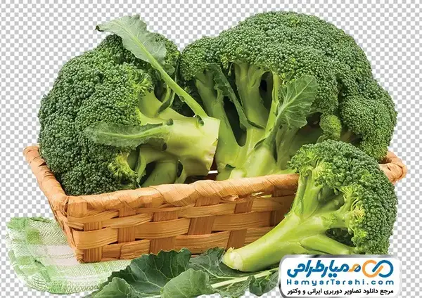 عکس کلم بروکلی بدون پس زمینه