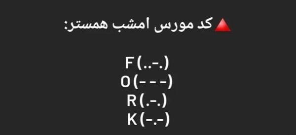 عکس یک میلیون همستر