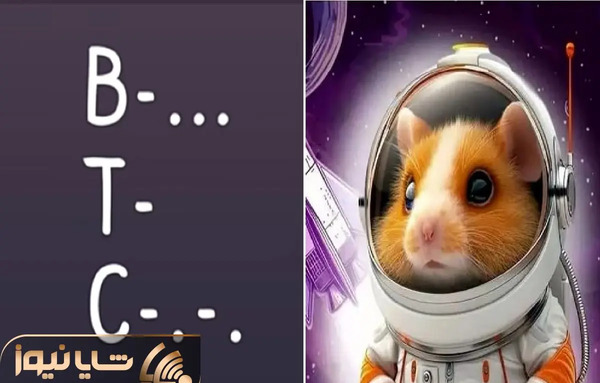 عکس یک میلیون همستر